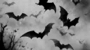𓆩ꨄ𓆪 𝓣𝓔𝓐𝓜 𝓑𝓐𝓣𝓢 𓆩ꨄ𓆪 server banner
