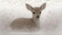 ❈ 𝐒𝐖𝐄𝐄𝐓 & 𝐒𝐏𝐈𝐂𝐄 ❈ server banner