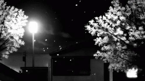 ⋮ ♯; ⤷ MOONWASHED .ᐟ Discord server banner