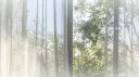 ʚ ɞ         .        ノsundαe server banner