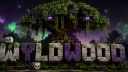 WyldWood server banner
