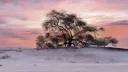 The Tree House server banner