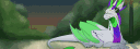 banner