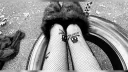 meow(//_¬") Discord server banner