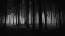 𑣲7 server banner