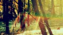 Camp Crescent Discord server banner