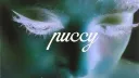 puccy v4 server banner