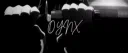 Onyx ⁺‧₊˚ ཐི⋆♱⋆ཋྀ ˚₊‧⁺ server banner