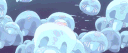 🪼 Jellyfish Jamboree ⋆˚꩜｡ server banner