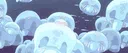 🪼 Jellyfish Jamboree ⋆˚꩜｡ server banner