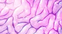 GOTHI 𓉸ྀི | ~/ Ask2Dm ~/ Aesthetic Stickers 🕸 ~/ Social ~/ Hangouts ~/ Stream server banner