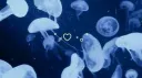 𝒯𝓇𝓊ℯ ℬ𝓁𝓊ℯ Discord server banner