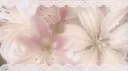 Cozy corner server banner