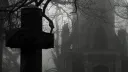 🕸๋࣭ ⭑ mausoleum ݁₊ .࿐ server banner