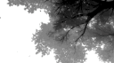 /goodboys server banner