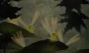 pixie hollow (˶ᵔ ᵕ ᵔ˶) Discord server banner