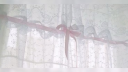 RVCJ server banner