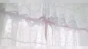 RVCJ Discord server banner