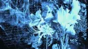 * ֺ۪⑅🫧𓏼。ɑեℓɑກեꭵຣ server banner