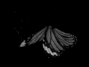 ᴀᴠᴇɴᴏɪʀ server banner