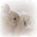 Bunny land server banner