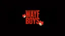 WAYF BOYS | 워터밤 DEBUT server banner