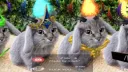 /bilo server banner