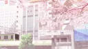 ノbelovedd server banner