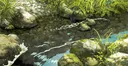 𝒯𝒽𝑒 𝑀𝑜𝓈𝓈𝓎 𝒦𝓃𝑜𝓁𝓁🍄 Discord server banner