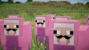 nuts server banner