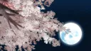 ✦ 𝓜𝓸𝓸𝖓𝔏𝓲g𝖍𝖙 𝙿𝙰𝚁𝙰𝖣𝖨𝖲𝖤 ✦ Server Banner