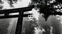𝐁- | 𝐓𝐡𝐞 𝐑𝐞𝐠𝐢𝐦𝐞𝐧 Banner