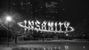insanity Discord server banner
