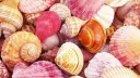 ﹒﹙🌊﹚ 𓂃 • 𝙎𝙪𝙣𝙠𝙞𝙨𝙨𝙚𝙙 𝙎𝙤𝙪𝙡𝙨﹑ server banner