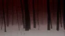 𝒩𝒮𝒳 server banner