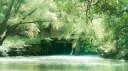 ⑅  　 ֺ 　ѕιℓкєη 　𓂃 server banner
