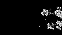 Lofi's Hut Discord server banner