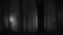/hyped server banner