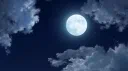 백야 : 白夜 server banner