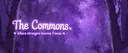 The Commons Server Banner