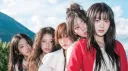 ஐ primrose࿐ ࿔ ; fg banner