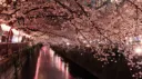 g33ked server banner