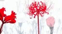 Vasuki server banner