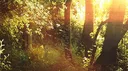 Apocalyptic Discord server banner