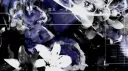 ใ๐พ๐๐น๐พ๐๐ server banner