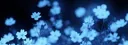 Cindara#8267 banner