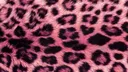 Divas Discord server banner