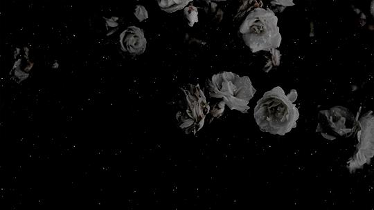 ɪɴᴋ & sᴏʀʀᴏᴡs Banner