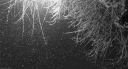 remind Banner