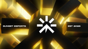 Sunset Esports™ Banner